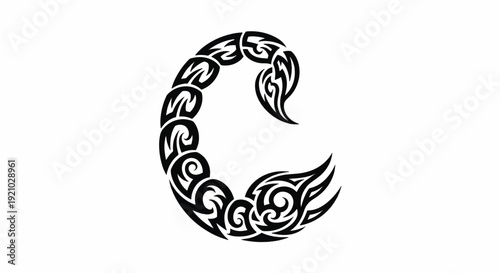 Ornate decorative letter C with intricate floral pattern and swirls.