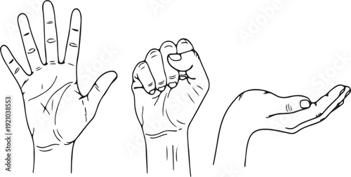 Human hands showing various actions like giving, holding, receiving.