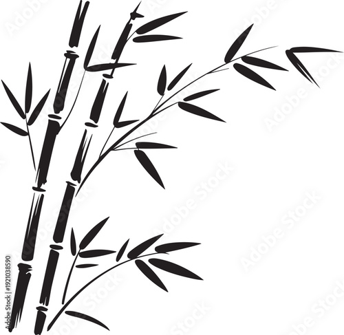Bamboo branches outlined in black