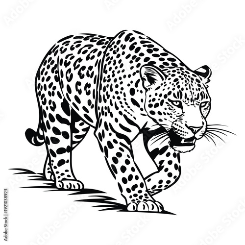 Detailed Black and White Illustration of a Fierce Jaguar.