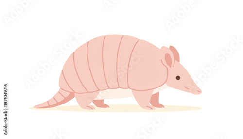 Pink Fairy Armadillo Flat Illustration Side View