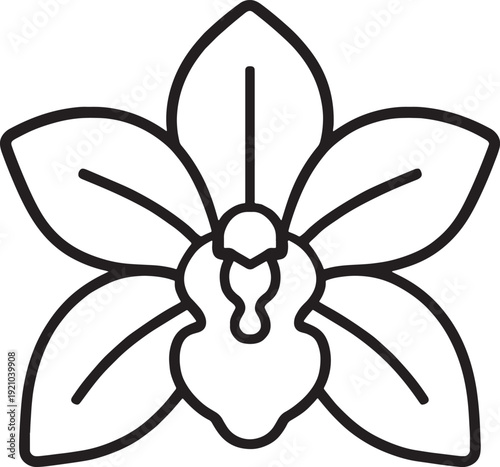 Black line art orchid flower icon isolated on transparent background