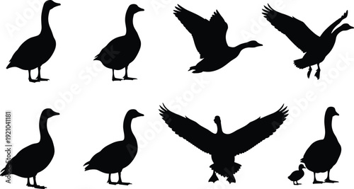 Set of dragon head line art illustrations featuring mythical fantasy monsters with horns and sharp teeth for coloring book design