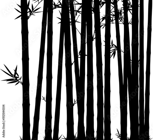 Bamboo forest silhouette with dense vertical stalks and leaves
