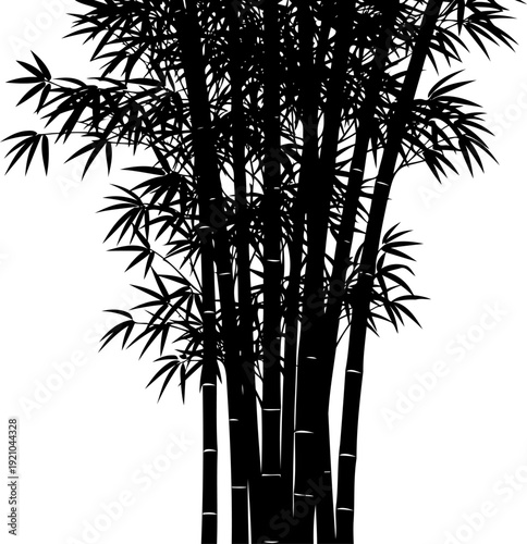 Bamboo stalks silhouette forming a dense tropical thicket