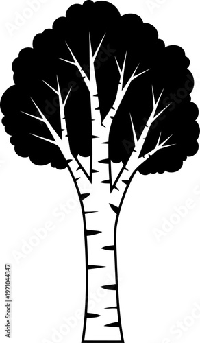 Birch tree silhouette with distinctive bark marks