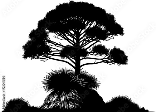 Coniferous pine tree on a small grassy mound silhouette