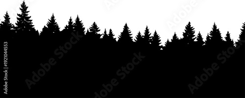 Coniferous forest treeline silhouette across horizon