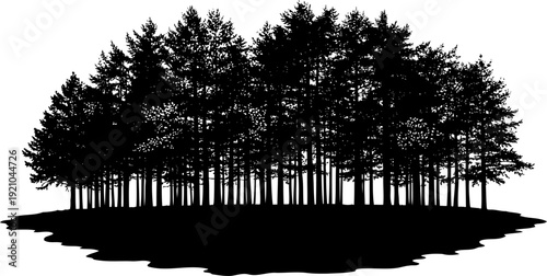 Dense coniferous pine forest silhouette standing on a grassy hill