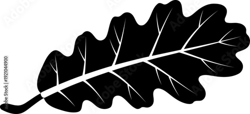 Detailed oak leaf silhouette with visible veins