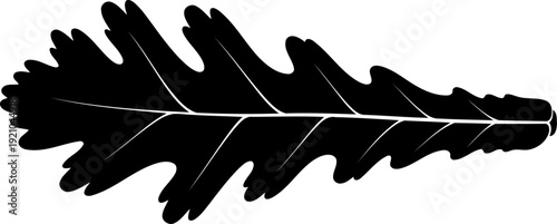 Detailed oak leaf silhouette with lobed edges