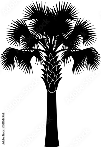 Fan palm tree silhouette tropical plant icon