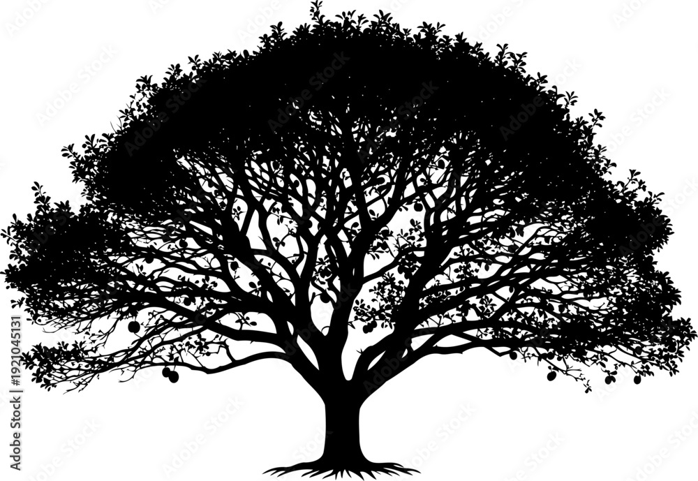 Fototapeta premium Fruit tree silhouette with round hanging produce on spreading branches