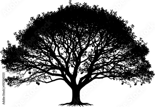 Fruit tree silhouette with round hanging produce on spreading branches