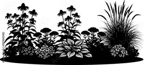Garden flower bed silhouette with coneflowers and ornamental grasses