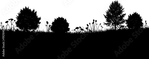 Grassy field horizon silhouette with wildflowers and shrubs