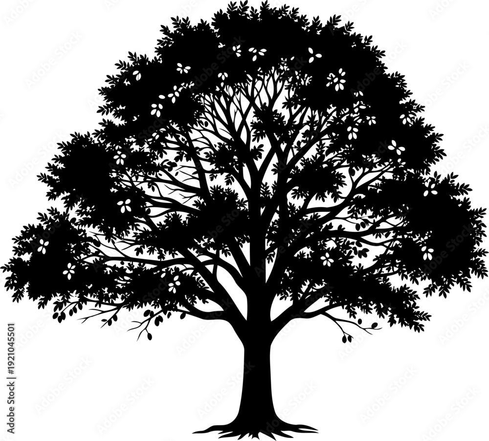 Fototapeta premium Leafy fruit tree silhouette with visible round details