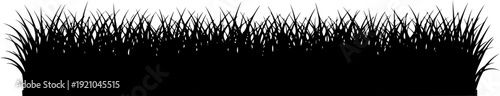 Long grass lawn border silhouette landscape