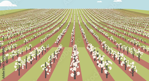 Rows of People Standing in Formation.