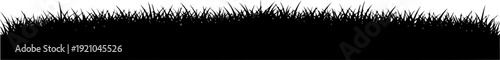 Long grass border silhouette for landscape design