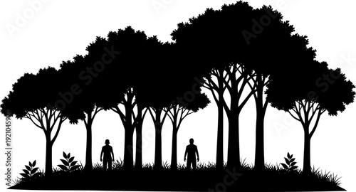 People standing in forest meadow with tall trees silhouette