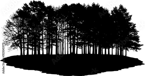 Pine forest grove silhouette on a mound with tall coniferous trees