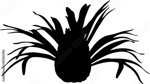 Pineapple fruit silhouette with spiky crown leaves
