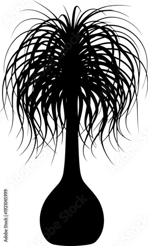 Ponytail palm silhouette featuring a bulbous base and long leaves