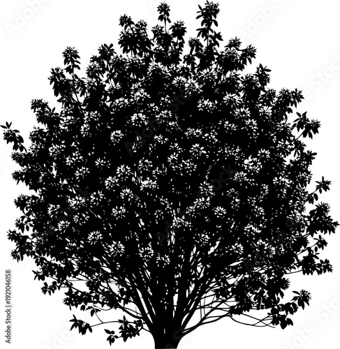 Round flowering shrub silhouette garden plant