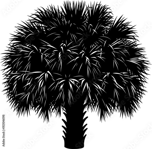 Round saw palmetto palm bush silhouette