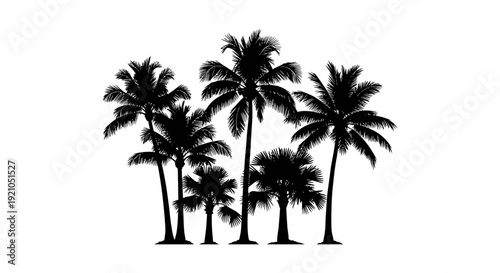 silhouettes of tropical palm trees in a diverse group on a pristine white background ideal for summer vacation designs and beach themes.