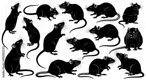a striking graphic collection of black rat and rodent silhouettes in various dynamic poses against a crisp white background ideal for pest control wildlife themes or halloween designs
