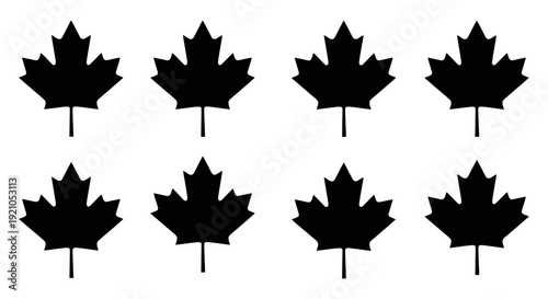 black canadian maple leaf pattern on white symbolizing national identity patriotism for graphic design and canadian themes.