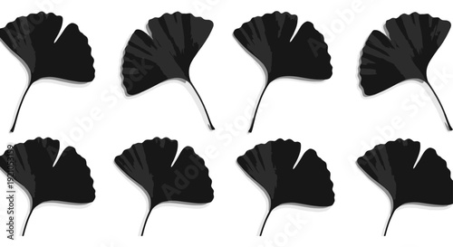 black ginkgo leaves with soft shadows arranged in a minimalist botanical pattern on a white background ideal for modern design elements