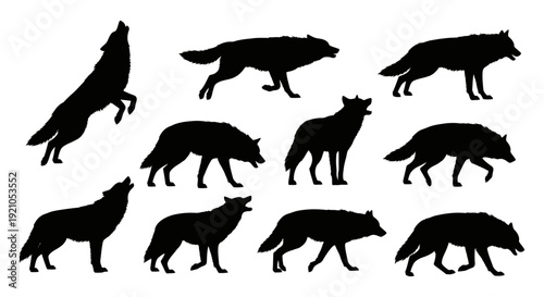 black wolf silhouettes in dynamic poses including howling running and standing isolated on white ideal for wildlife-themed graphic design.