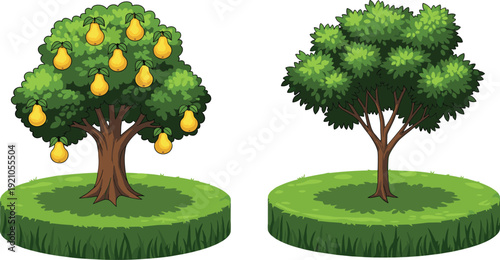 Vector illustration set of two green deciduous trees including one bearing yellow pear fruits growing on small round grass patches isolated on white background.
