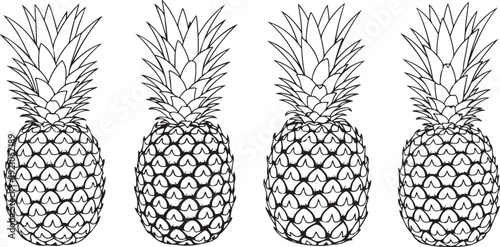 Four detailed pineapple illustrations showcasing their spiky texture and leafy crowns. Vector