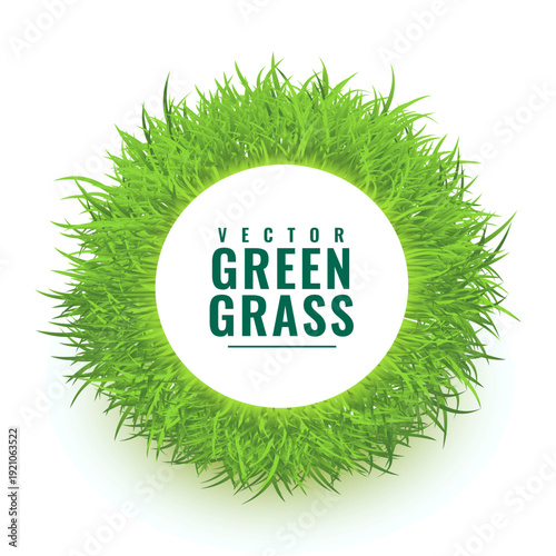 isolated fresh green grass circular frame design