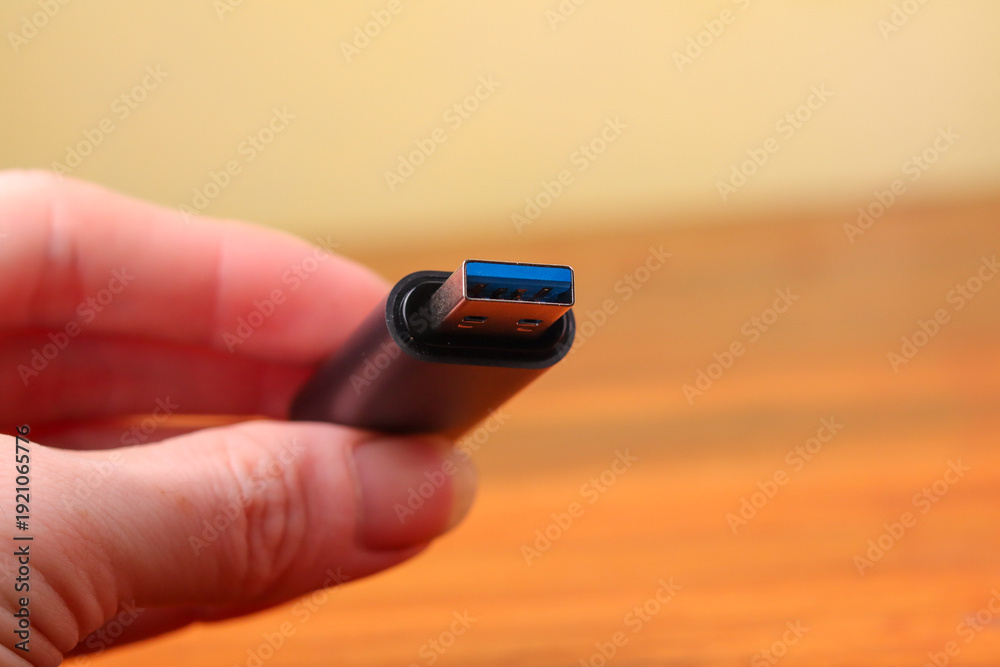 Fototapeta premium type c, usb card reader, transcend