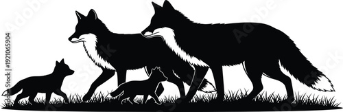 Silhouette of a family of foxes standing together in grass