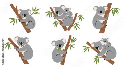 Cute cartoon koalas in various poses climbing and resting on eucalyptus tree branches with their babies on their backs.
