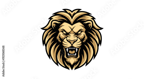 Powerful and majestic golden lion head roaring with an aggressive expression, detailed vector illustration.