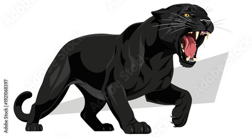 A fierce black panther with its mouth open, showing its sharp teeth and roaring.