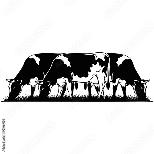 Three Grazing Cows Vector Art - Farm Animal Dairy Cow Trio Silhouette Illustration