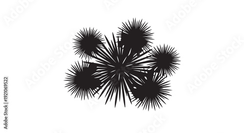 Dandelion Seeds Silhouettes Dark Dramatic Black High Contrast Isolated on White Background for Botanical Illustration