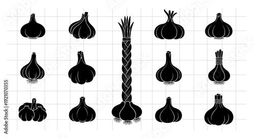 Collection of black and white garlic bulbs and bunches on grid background for food and cooking design