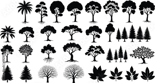 WebCollection of various tree silhouettes, black nature icons set, forest pine palm and deciduous trees, isolated leaf shapes vector illustration,