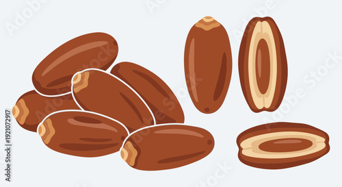 Pile of Fresh Dates and Halved Date Fruit Illustration