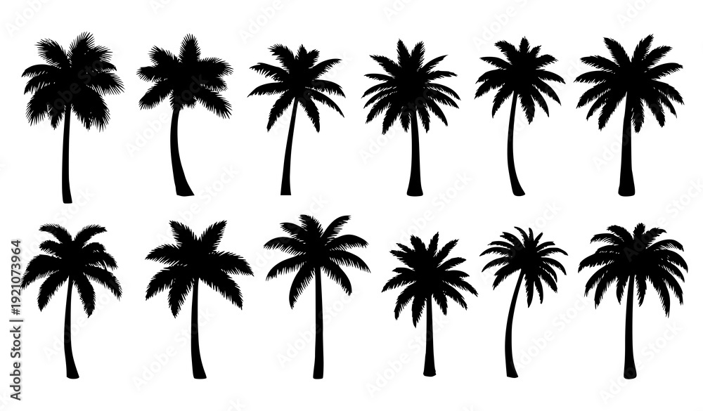 Obraz premium Tropical Palm Tree Silhouette Collection Monochrome Vector Botanical Set