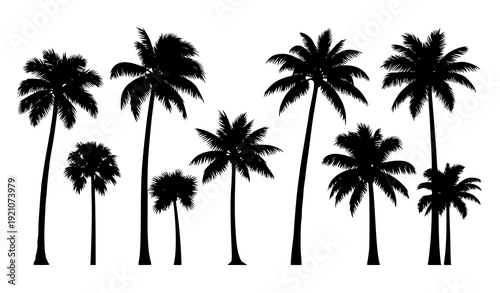 Abstract Tropical Palm Tree Black Silhouettes Vector Collection Isolated on White